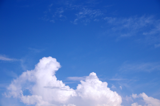 夏季休業のお知らせ